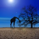 도안종로한약국 이미지