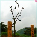 남도사랑 이미지