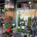 빛가온동물병원 이미지