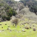 동물은내친구 이미지