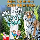 🍒 2024 여름맞이! 건강정보 총정리! 🍒 (유인호 제공) 이미지