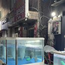 앤유PC 안산본점 | 선부동맛집 어장관리 선부본점 광어 우럭 세트 스끼다시 많은 횟집 후기