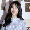 일진란제리 이미지