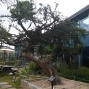 정원식당 앞 이미지