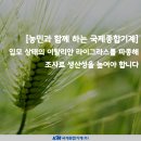 예건종합기술 | [농민과 함께하는 국제종합기계] 입모 상태의 '이탈리안 라이그라스'를 파종해 조사료 생산성을 높여요