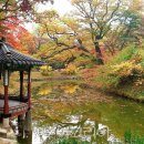 미식&포토스팟 코스 이미지