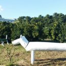 체험농장 민박 이미지