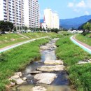 흥양천길 이미지