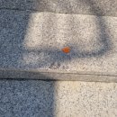 아파트계단 보수 화강석석재교체