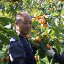 김형수농장 이미지