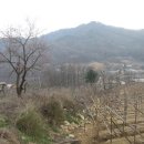 용산4리 이미지