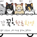 세드러스코리아