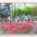 icm 이미지