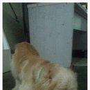 부천성해물짬뽕 이미지