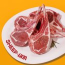 웰빙양고기 | 고기 추천] 잡내 없이 부드러운 육즙! 3개월 미만 양고기 쉽새끼 프렌치랙 밀키트 솔직후기 (양고기 추천)