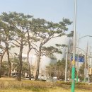 인덕어울림 복지회관 | 한글용사 아이야 뮤지컬 할인 인천 주차 무기세트 후기!