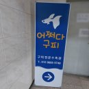 어쩌다구피 | 계룡로 갈마육교 버스승강장앞 2층 〈어쩌다 구피〉 탐방 후기..♥♥