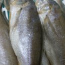 은주수산 이미지