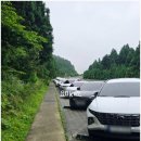 남조로사려니숲길 앞 이미지