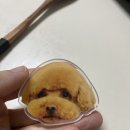 곱창에진심인여자