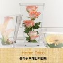 어레인지먼트 이미지
