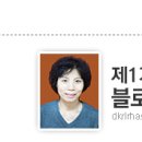대전매봉초등학교 이미지