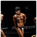 펠리스온