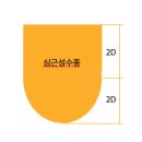 시공실무정리 12. 시공일반 (조경공사 2) 이미지