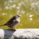 이호석한의원 이미지