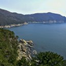 동백A(1차) 이미지