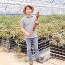 김태준농장 이미지