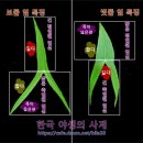 보풀 이미지