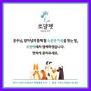로얄펫 강아지분양 고양이분양 전주점 | 전주강아지분양 로얄펫 전주점, 진정한 반려동물 가족을 찾는 곳!