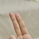 보