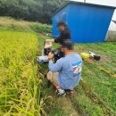 홍성 풀무농업고등기술학교 | 🌾 홍성풀무 영상 제작기: 바른 먹거리를 담다 🌾
