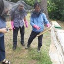 당진양봉영농조합법인 이미지