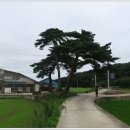 노송축사 이미지