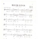 꽃순이를 아시나요 / 김국환 ( 악보 ) 이미지