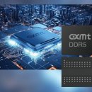 "中 CXMT, DDR5 수율 90% 돌파" 삼전과 2%P차 접근 이미지