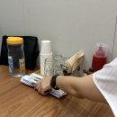 싱싱해싱싱어수성본점 | 대구 범어동 맛집 싱싱해싱싱어 점심특선 특회정식, 특물회 후기