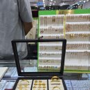 종로-신영-종로-영-157 | 종로 돌반지원정대 내돈내산 후기(주차, 화이트주얼리)