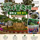 홍천 산나물축제 2026둘째 날 방문 후기: 제철 나물부터 산삼 전시 판매까지 주말 강원도 여행 가볼 만...