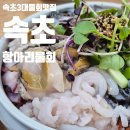 항아리매운탕 | 속초3대물회맛집 인정! 속초아이 뷰 보며 먹는 ‘속초항아리물회’ 솔직 후기