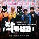 펠라
