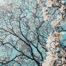 울산광역시 남구 야음장생포동 행정복지센터 | 울산영락원 근조3단 화환 애도와 추모의 마음 남구 여천동 부고 조화