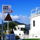 카페시로 이미지