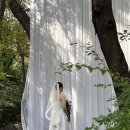 웨딩스위치 | 대구웨딩샵_아르하 웨딩스위치가창 예식후기