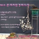 대야원 이미지