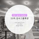 ⭐️23차, 임산부 강사그룹특강 《 for Pre-natal Pilates 》 OPEN⭐️ 이미지