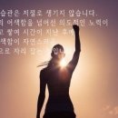 약속의땅 이미지